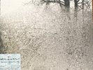 Bon Iver For Emma, Forever Ago 12
