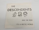 The Descendents Ride the Wild/It's a Hectic World ORIGINAL 1980 7