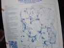 GRATEFUL DEAD MAKE BELIEVE BALLROOM UROBOUROS DEEDNI MUBLASARON TAKRL VINYL 2 LP