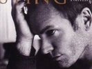 STING LP Mercury Falling vinyl