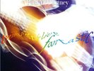Paul McCartney - Tripping The Live Fantastic - Used Vinyl Record - E7420z