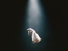 Ariana Grande - eternal sunshine deluxe  brighter days ahead - New Viny - M99z