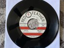 LARRY BRUMMETT & THE ABEGGS Time b/w Hula Rare Doo Wop Garage Teen 45 VG+ 1962