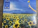 Stone Temple Pilots Thank You LP 2023 Atlantic Rhino Rocktober Sky Blue Like New