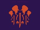 Joe Satriani - The Elephants Of Mars [Used Vinyl LP]