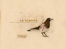 La Dispute Somewhere At the Bottom of the River Between Vega and Altair (Eco Mix