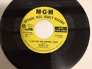 “I Can Feel Him Slipping Away” Mamie Lee on MGM-13850 Promo  N.Soul  1967
