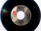 BRUTE FORCE - King Of Fuh / Tapeworm Of Love - Vinyl 45rpm BFR-100