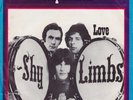 Shy Limbs - Reputation (7