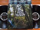 Dead Meadow 2 lp Old Growth **Matador** 2008 EX+
