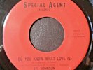 SYL JOHNSON - DO YOU KNOW WHAT LOVE IS - 7