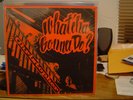 CHRISTOPHER What'cha Gonna Do? LP/1969 South Carolina/ULTRA-RARE US PSYCH ROCK