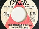 SANDI SHELDON You're Gonna Make Me Love You 1967 Rare WLP 45, Okeh Northern Soul