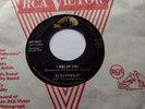 CANADA  ELVIS PRESLEY I Beg of You / Don't  RCA Victor 447-0621 45