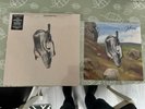 ENGLISH TEACHER TRANSPARENT VINYL LP (THIS COULD BE TEXAS) WITH SIGNED LITHO