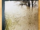 Bon Iver For Emma, Forever Ago 12