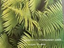 EDGAR FROESE - EPSILON IN MALAYSIAN PALE - VIRGIN 1975 GATEFOLD