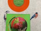 X-Ray Spex The day The World Turned Day-Glo INT553 Orange Vintage 45 Vinyl