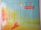 The Flaming Lips – The Terror 2 x Vinyl, LP, Album