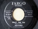 The AQUATONES - Crazy For You / Wanted A Cadillac R&B doowop group voc '61 Fargo