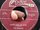 The Sequins - Dont Fall In Love RARE 45RPM RED ROBIN 1956 Doo Wop R&B NYC OG