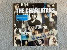 Vinyl 12