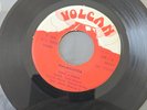 Grupo La Familia - El Pobre / Malaguena 45RPM Peru, Salsa