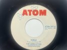 The Modulation Corporation Atom Record 45 Worms/ What To Do 1967 TX Garage Rock