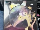 The Cure: The Head on the Door PICTURE DISC RSD LP 2025 Record Store Day Sealed