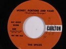 R&B Sax Rocker/Doo Wop 45 SPICES Money, Fortune And Fame CARLTON promo HEAR e