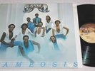 CAMEO - Cameosis  (Original 1980 Dutch Import Pressing)  NM Vinyl