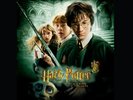 JOHN WILLIAMS HARRY POTTER AND THE CHAMBER OF SECRETS RSD 2025