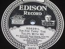 Edison Electric Record 52629 Tip Toe Thru The Tulips Someday California Ramblers