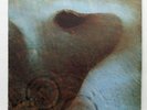 PINK FLOYD - meddle - HARVEST SHVL795 - 1971 UK orig LP 1U/1U