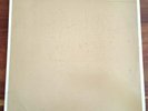 PRAYING MANTIS - Rare Original 1980 UK 12” Test Pressing /Acetate - NWOBHM