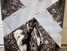 Luv Is Rage 2 by Lil Uzi Vert (Record, 2018) Rare Red Vinyl