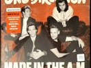 One Direction Made In The Am Blue Translucent Vinyl Record New Urban Outfitters