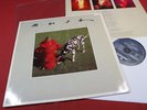 Rush  SIGNALS  -  LP Mercury 6337243 Germany 1982