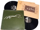 XTC 
