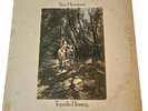 Van Morrison LP Record Album Tupelo Honey 1971 WS-1950 Wild Night First Press
