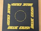 Billie Eilish Live at Third Man Records Vinyl RSD Record Store Day 2020 Blue VG+