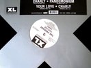 The Prodigy - Charly (12