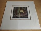 Blonde Redhead ‎– Misery Is A Butterfly US 2004 LP Album