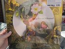 Alice in Ultraland - The Amorphous Androgynous (Future Sound Of London) RSD 2025