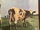 Pink Floyd Atom Heart Mother 1st UK Issue A1 G-B1 G RARE Label Mispress  VG-/VG-