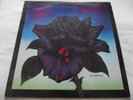THIN LIZZY   BLACK ROSE ** 1979 UK Spaceship VERTIGO LP