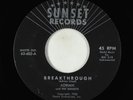 Surf Inst. 45 - Adrian & The Sunsets - Breakthrough - Sunset