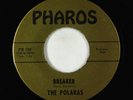 Surf Inst. 45 - Polaras - Breaker/Cricket - Pharos VG+