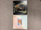 Allman Brothers Band Eat a Peach 2 LP Cap. Rec. 1972  Richard Betts Highway Call