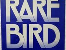 RARE BIRD - AS YOUR MIND FLIES BY (original German Philips label)